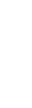 Southside overlay