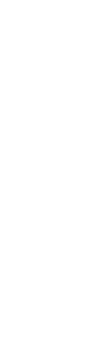 Southside overlay